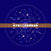 双子座十二月份感情运势，双子座2017年12月运势