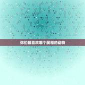你们最喜欢哪个属相的动物，人人喜欢的动物是什么生肖