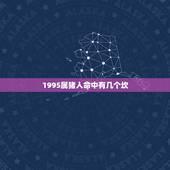1995属猪人命中有几个坎，95年属猪的女生要晚婚