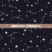 光绪戊子年十一月属相是什么，光绪戊子年9月朔日是公元多少年？