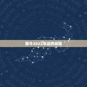 属牛2022年运势运程，2009属牛的一年运程幸运色
