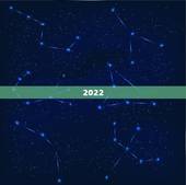 2022 年属猴女全年运势如何，属羊2022 年运势及运程属羊人2022 全年运势