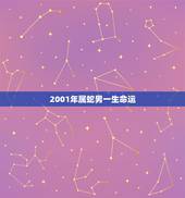 2001年属蛇男一生命运，属蛇的犯月生日是几月啊？
