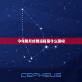 今年腊月结婚运程是什么属相，我属兔，男友属鼠，我们今年腊月22结婚，结