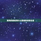 属狗的新娘用什么属相的伴娘合适，各位大侠，新郎属狗，新娘属猪，哪些属相