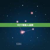 1977年蛇人运势，1977年属蛇的人那年财运亨通
