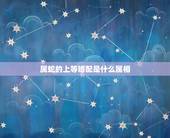 属蛇的上等婚配是什么属相，属蛇的和什么属相宜婚配