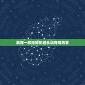 属相一样结婚犯迎头运有啥危害，2021年什么属相犯太岁或者冲太岁