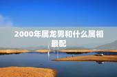 2000年属龙男和什么属相最配，2000属龙的男性的更佳配偶