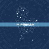1947年属猪的运势，2010年属猪的运势