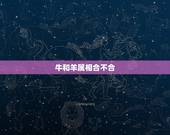 牛和羊属相合不合，属羊人和属牛合不合