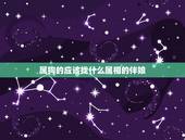 属狗的应该找什么属相的伴娘，新郎新娘都属狗。不能找属相是什么的伴娘