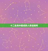 十二生肖中属虎的人命运如何，十二生肖属虎