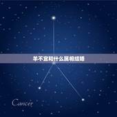 羊不宜和什么属相结婚，生肖羊生活中最忌讳什么