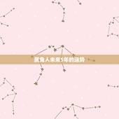属兔人未来5年的运势，属兔的过了34岁就顺了