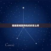 姻缘属相属狗和虎的怎么样，属狗的水命和属虎的火命婚缘好吗