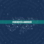 问属相的怎么幽默回答，别人问我是属猫的，我该怎样幽默回答？