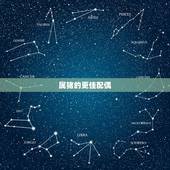 属猪的更佳配偶，12生肖婚姻匹配