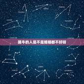 属牛的人是不是婚姻都不好呀，男鸡女狗的婚姻怎么样