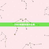 2003年属羊是什么年，2003年12月7日属羊是什么命