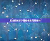 属虎的和那个属相相配是更好的，1998年属虎的是什么命