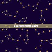 2022属蛇的全年运势女，2022 年属蛇人的全年运势女性