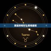 属鼠的和什么属相最配，属鼠的和什么属相犯冲