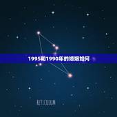 1995和1990年的婚姻如何，95属猪和90属马好不好