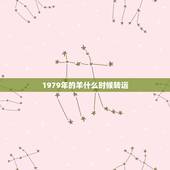 1979年的羊什么时候转运，1979年属羊何时走大运