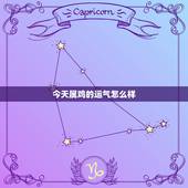 今天属鸡的运气怎么样，69年属鸡人今日麻将运势