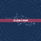 戊土富贵八字实例，辛金八字真实案例100例