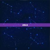 2022 辛丑年生肖，2022 年什么年