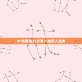 87年属兔33岁有一劫贵人生肖，2022 年属兔33岁