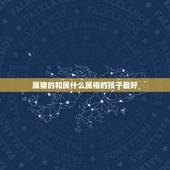 属猪的和属什么属相的孩子最好，属猪的人生什么属相孩子好