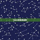 2022的生肖运势，董易奇2022年12生肖运势解析