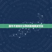 属牛不宜和什么样的属相朋友交往(如何避免属相冲突)