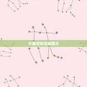 木雕招财进宝图片，求财神图片直接的图片谢谢