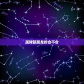 属猪跟属龙的合不合，属猪跟属牛合不合