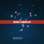属虎的人运程怎么样，1971年属猪2022 年运势