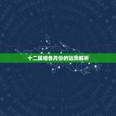 十二属相各月份的运势解析，2022年12生肖运势解析