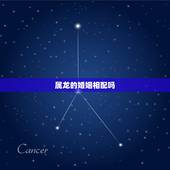属龙的婚姻相配吗，属猪的和什么属相最配