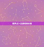 塔罗占卜正缘性格长相，塔罗占卜正缘出现了吗