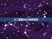 十二星座2022年的运势，2021年十二星座健康运势排行 哪个星座能排