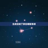 壬戌日和丁卯日婚配怎样，丁卯日和壬戌日配吗