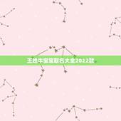 王姓牛宝宝取名大全2022款，2022 年男宝宝名字推荐
