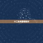 十二生肖爱情配对，十二生肖配对禁忌