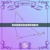男和属猴的属相婚配相配吗，属虎和什么属相相冲