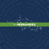 1～9数字风水中的含义，风水中牛和数字9的关系