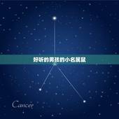 好听的男孩的小名属鼠，男孩小名洋气点的属鼠