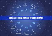 属猴和什么属相配最好婚姻相配吗，属猪的女性跟属猴的男性婚姻会怎样